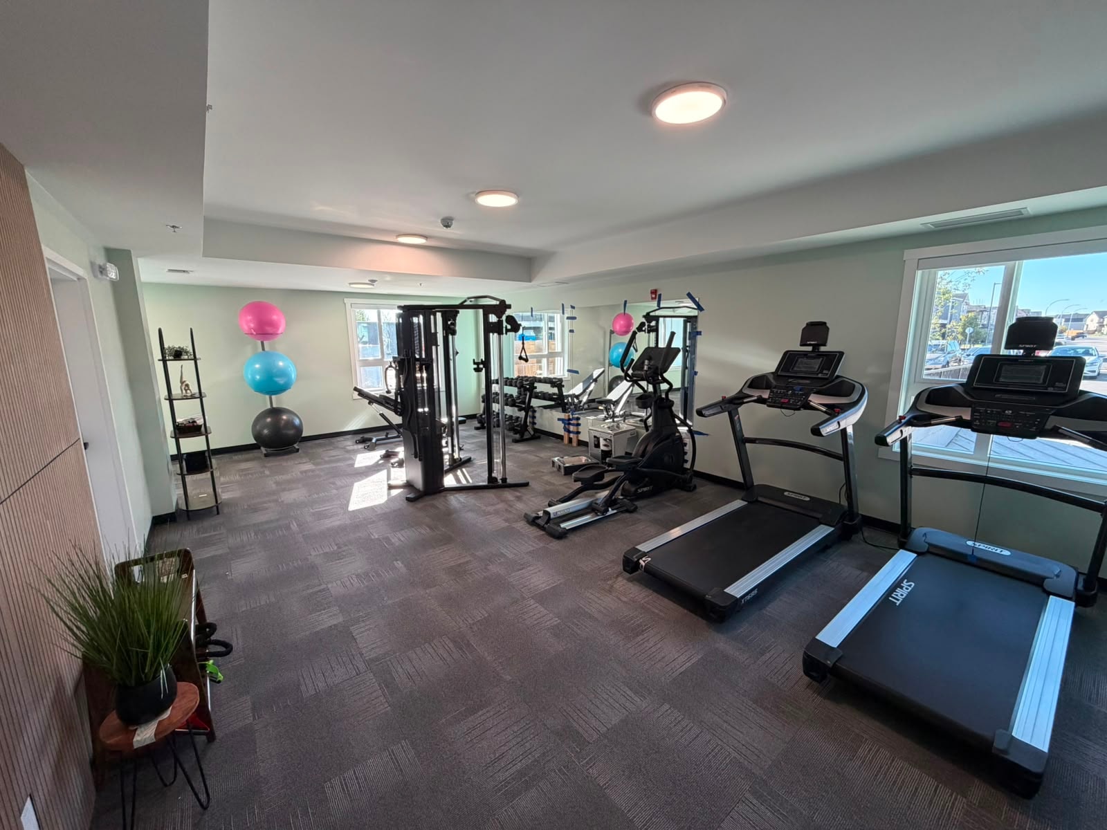 Gyms in Each Building